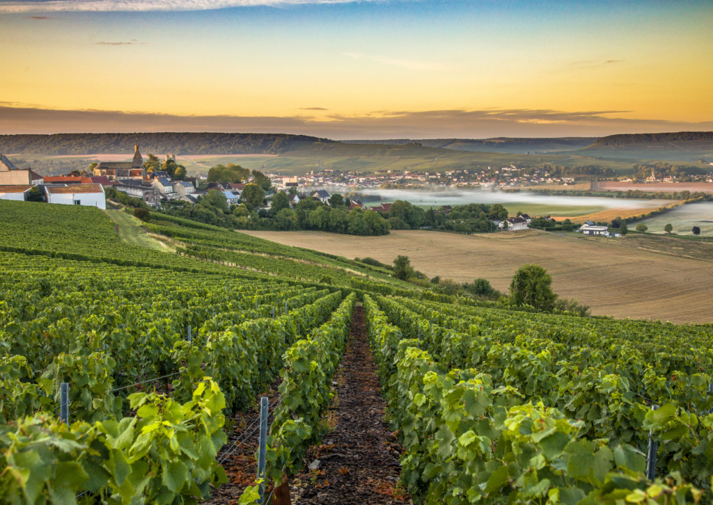 champagne region france