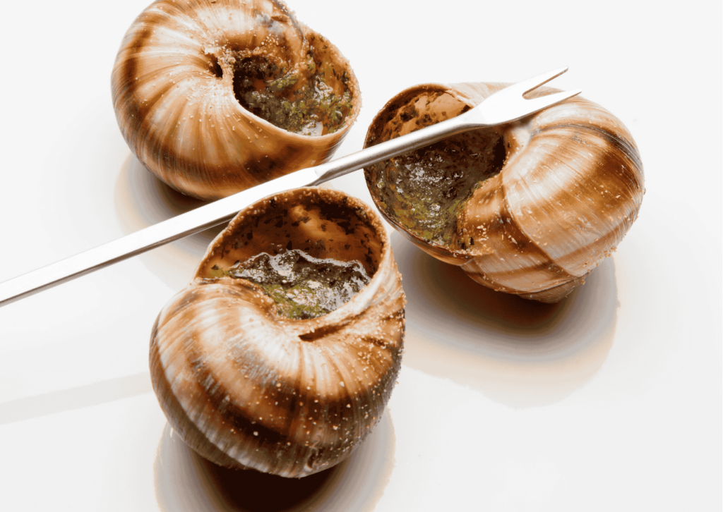 escargot