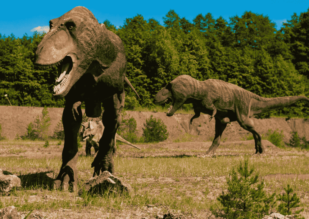 dinosaur park